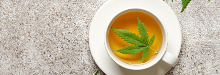 infusions au CBD
