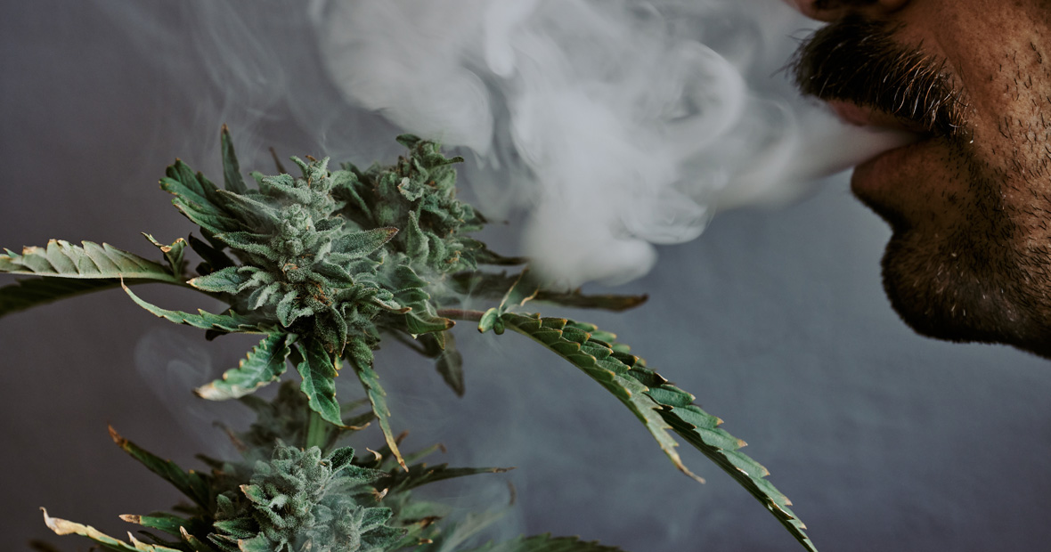 CBD